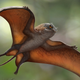 An artistic reconstruction of Sinomacrops looking notably frog-bat-dragony.